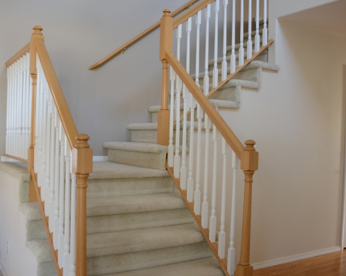 The carpeted stairs