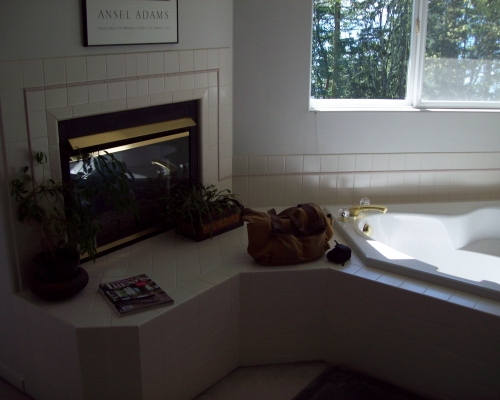 The original fireplace and tub surround