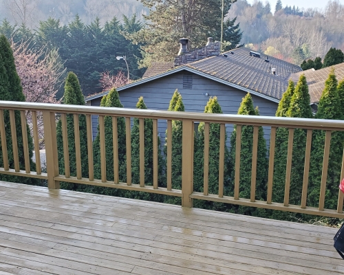 The view from the deck before